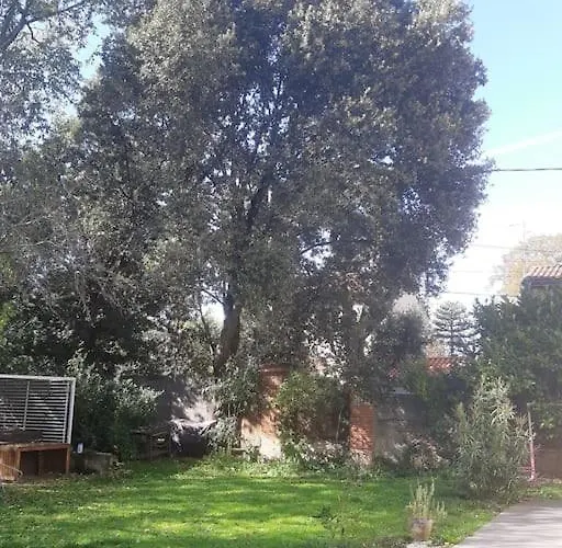 Canto Laouzetto * Тулуза